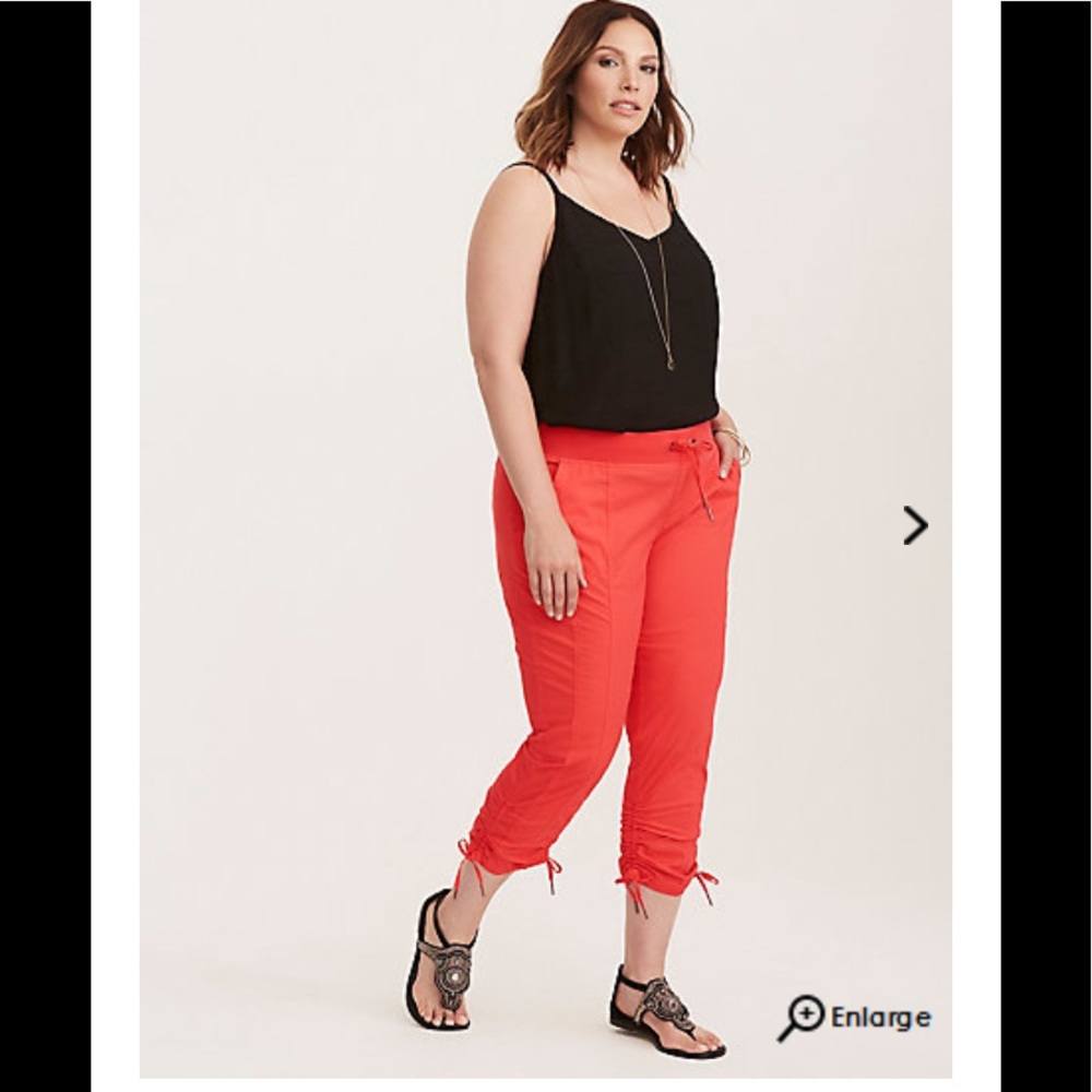 Torrid pants